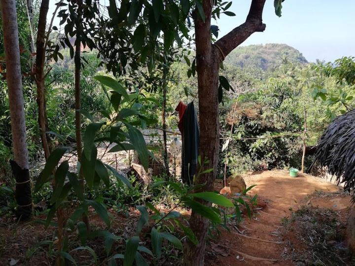 Bindhya Huts Gokarna (Karnataka) Exterior foto